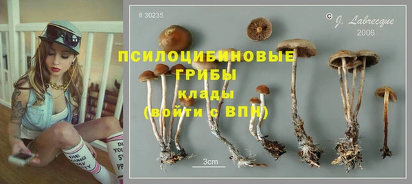 бошки Белоозёрский