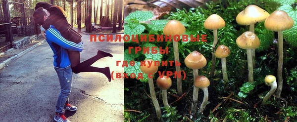 трава Беломорск