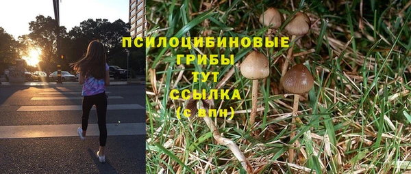 трава Беломорск