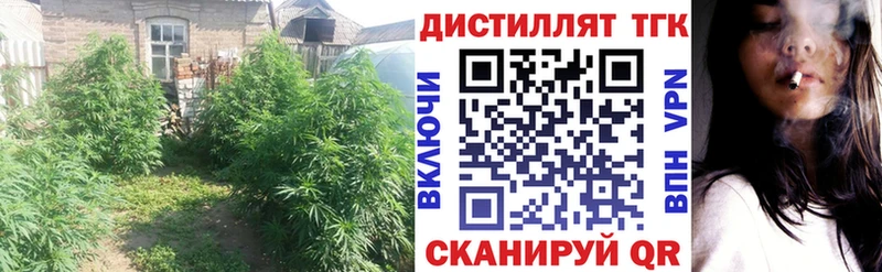 ТГК вейп Кувандык