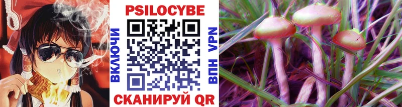 Галлюциногенные грибы Psilocybe  omg онион  Кувандык 
